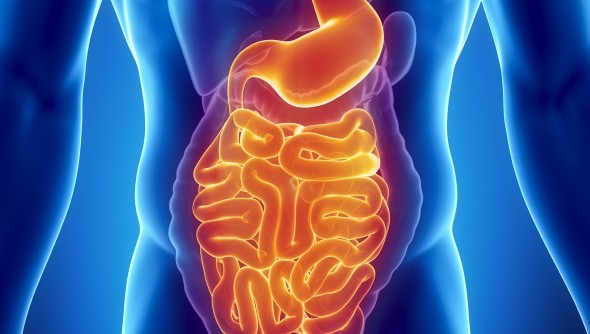 Cobiotics