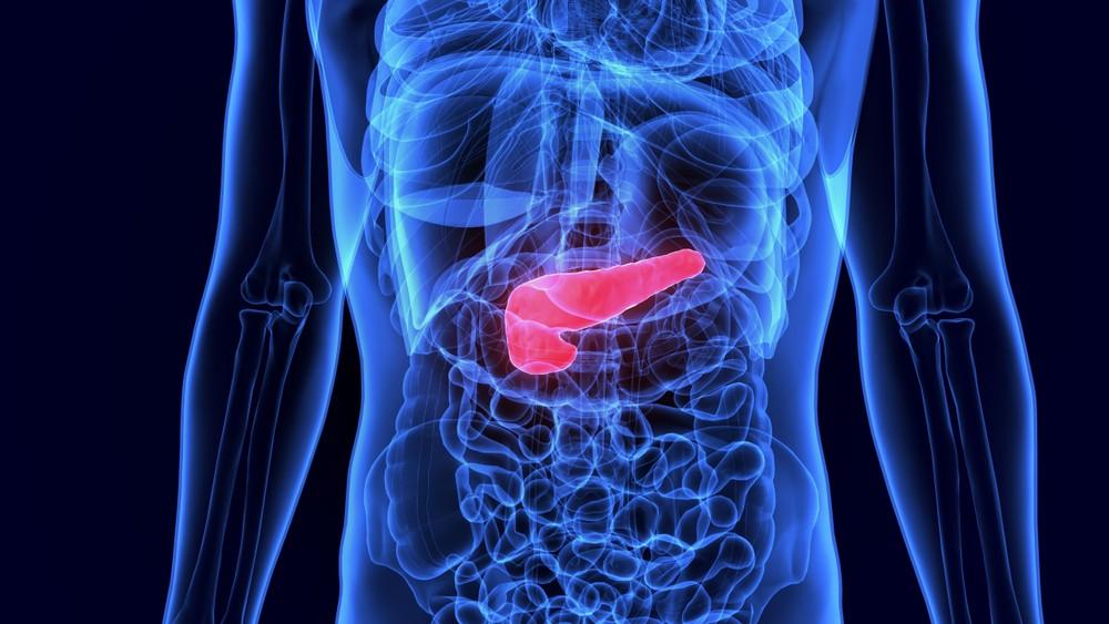 Regenerating Beta Cells: Can You Regenerate Beta Cells Naturally?