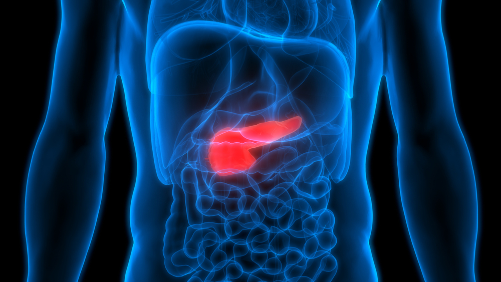 Type 1 Diabetes Trigger Identified