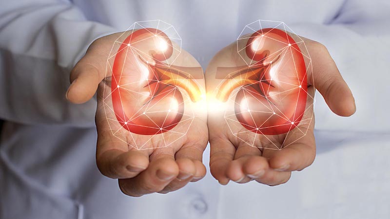 How to Keep Your Kidneys Healthy
