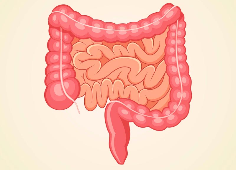 Can Diabetes Cause Constipation?
