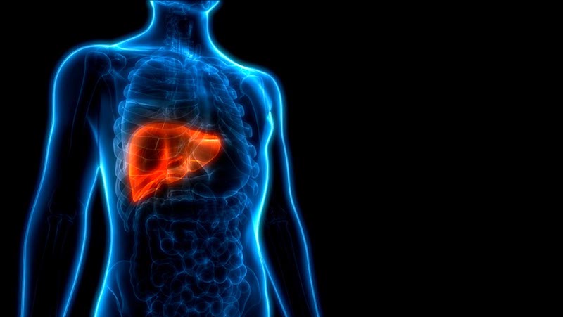 Hepatitis C and Diabetes: Is There a Link?