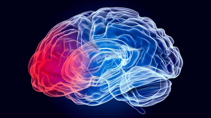 Parkinson’s Disease and Diabetes: Is there a Link?