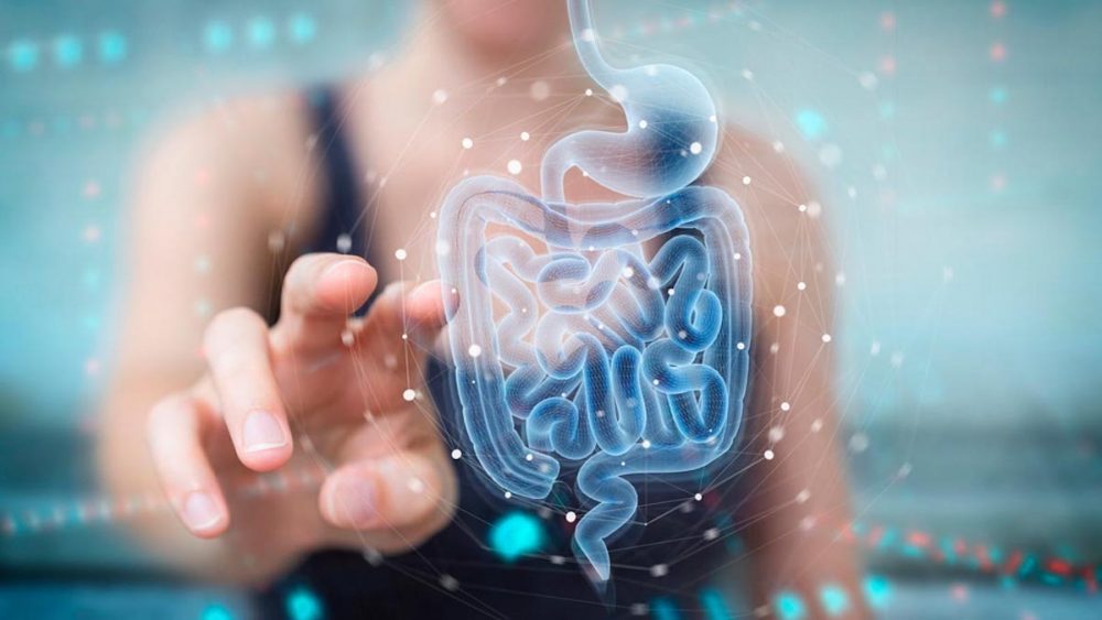 Gut Microbiome Changes Linked to Gestational Diabetes