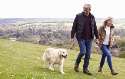 Sneaking Exercise Into Your Day