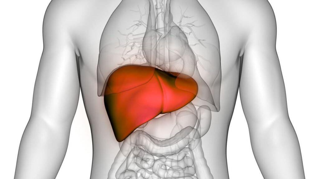 Semaglutide Shows Promise for Treating Advanced Liver Disease