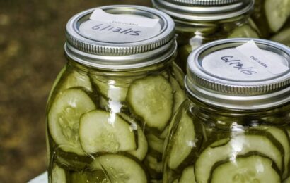 Jars of homemade pickles representing can people with diabetes drink pickle juice